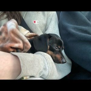 Meet your Posher, Katelyn